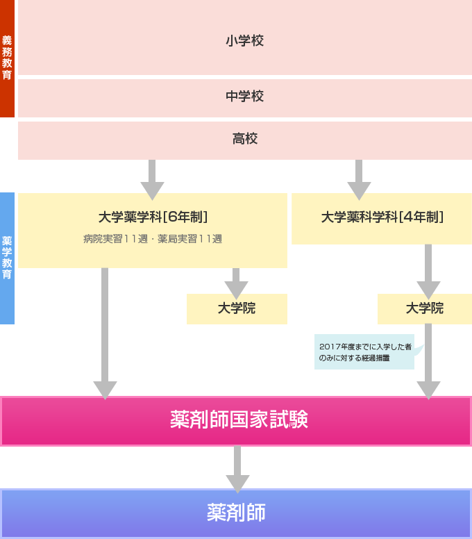 薬剤師になるには？ 大学薬学部ナビ