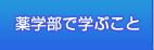 薬学部で学ぶこと